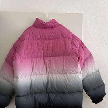 Supreme puffer 2018