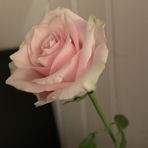 Felice