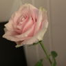 Felice