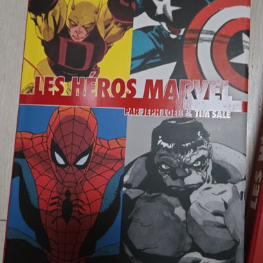 Encyclopédie heros Marvel loeb sale