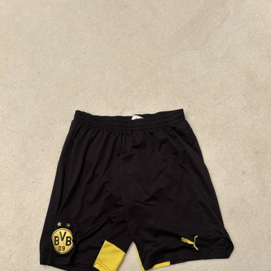 BVB Shorts