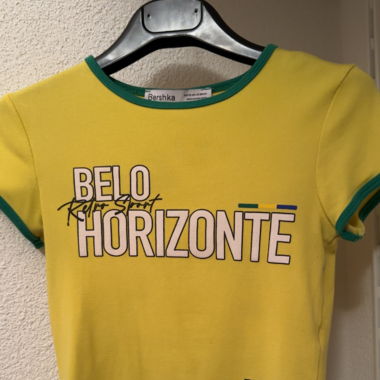 Bershka Brazil crop top