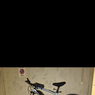 Rockrider E-Mountainbike