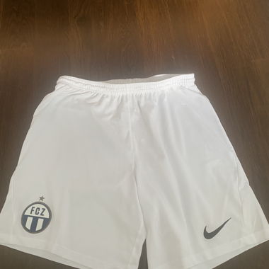 Nike FCZ Shorts