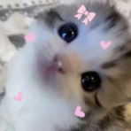 Shilaa