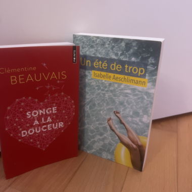Lot de 2 romans français poche
