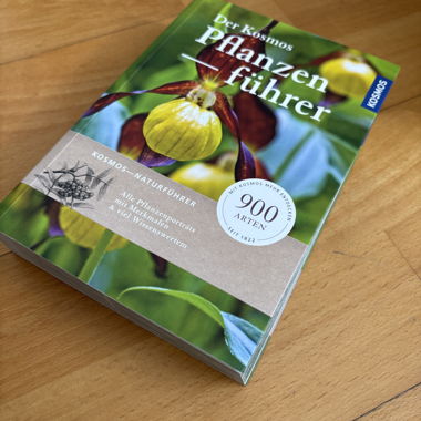 Guide de plantes Kosmos