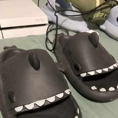 Sharkys