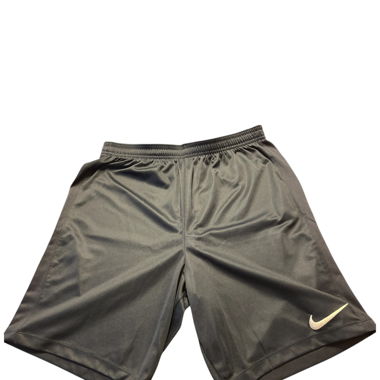Nike Shorts (Dri-Fit)