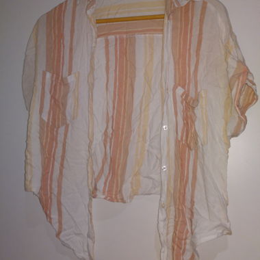Camicia a righe di Thread and Supply