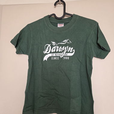 Darwyn children's green T-shirt