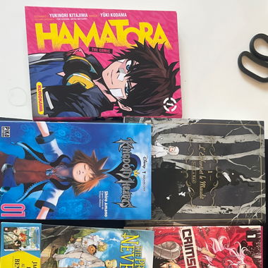 Manga en tout genre 