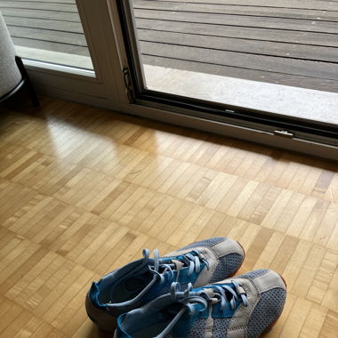 Diesel trainers