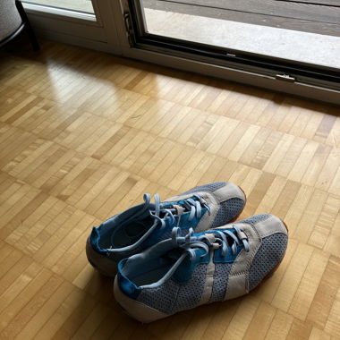 Diesel trainers