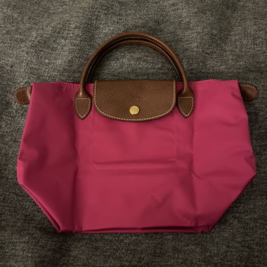 Longchamp Le Pliage S bag