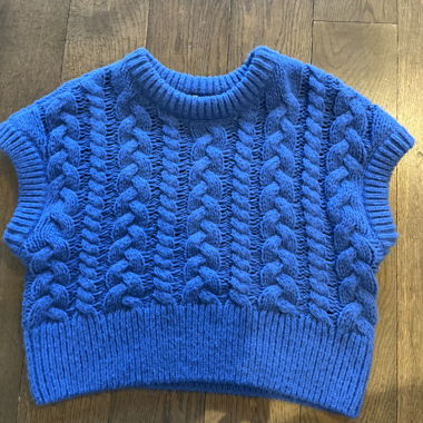 Blue Vest