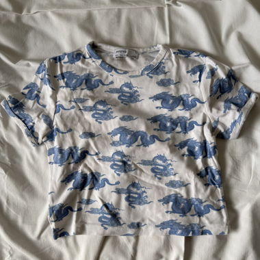 Dragon top