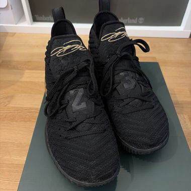 Black Lebron XVI Sneakers