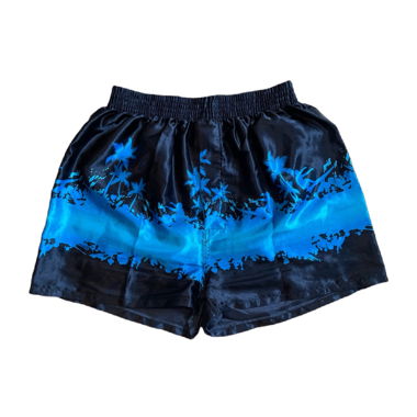 Boxer effet satin – Noir & Bleu – T. M