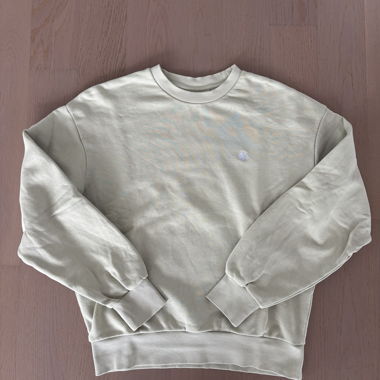 Carhartt Sweatshirt
