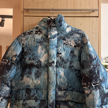 The North Face Print Himalayan Down Parka
