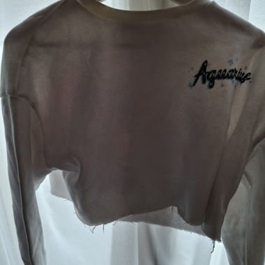 Aquarius crop sweatshirt
