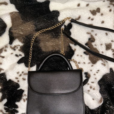 Small Handbag