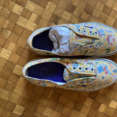 Vans shoes