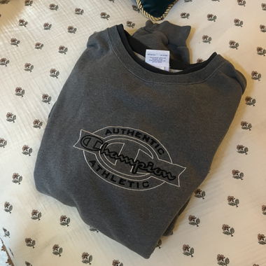 Champion Sweater