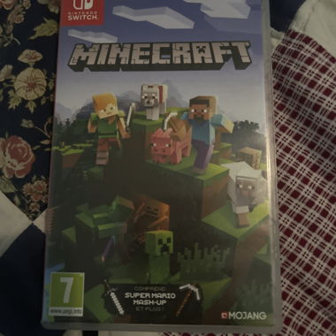 Minecraft Nintendo Switch