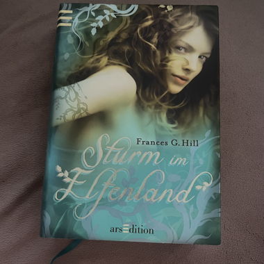 Sturm im Elfenland Buch
