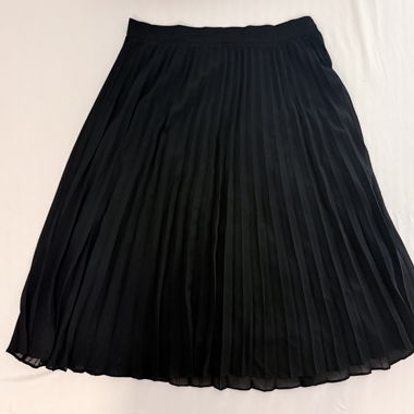 Black Pleated Skirt