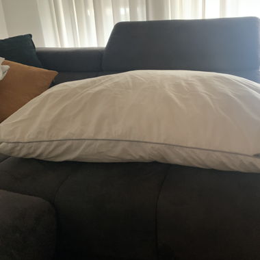 2x grosse Kopfkissen 65x100cm