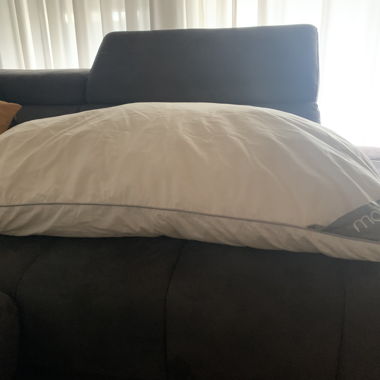 2x large pillows 65x100cm