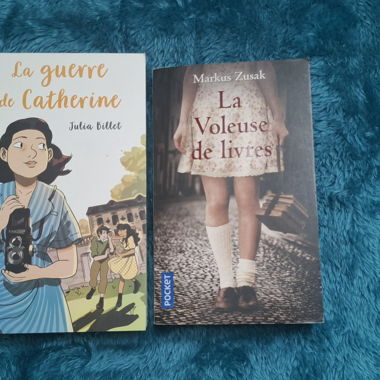 Set di due libri francesi