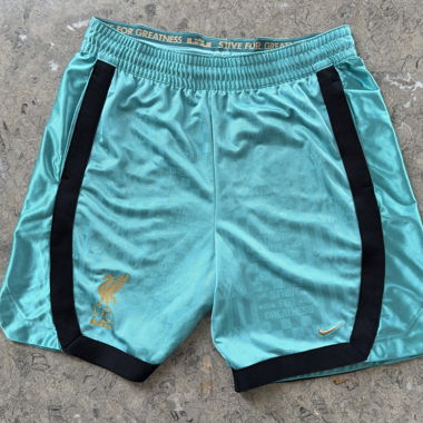Nike LeBron x Liverpool FC Dri-FIT DNA Shorts