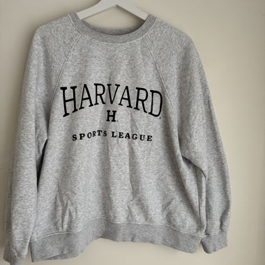 Pullover/ Hoodie grigio con stampa