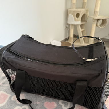 sac de transport pour chat 