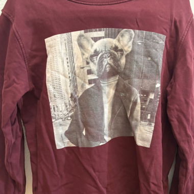 Pull Roter Frenchie