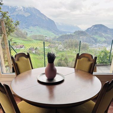 Antiker Tisch und 6 Stühle
