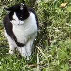 Jack124
