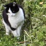 Jack124