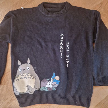 Maglione in maglia Totoro Ghibli