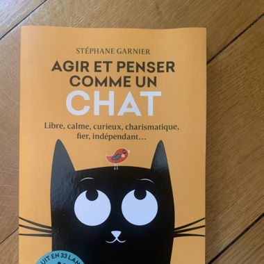 Agir et penser comme un chat