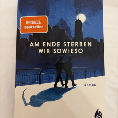 Novel - In the End We Die Anyway