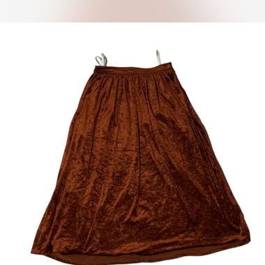long velvet skirt/ langer samt rock