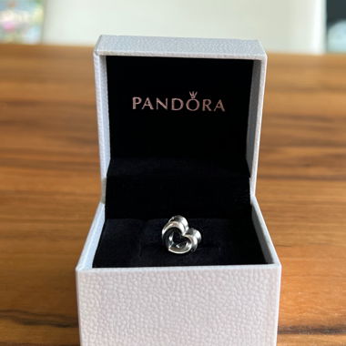 Charm Pandora