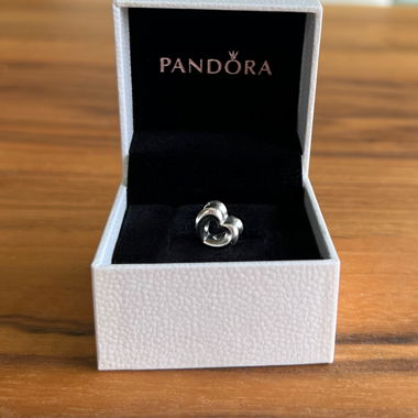 Charm Pandora