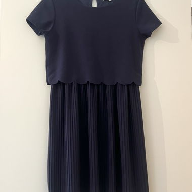 Dark Blue Pleated Dress