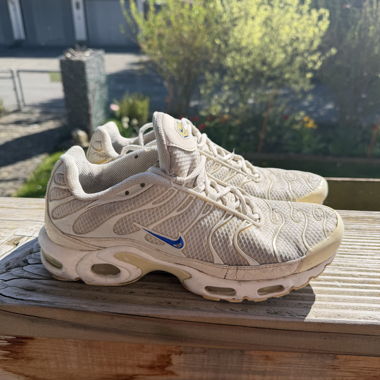 Nike Air Max Plus Special Edition Sneakers